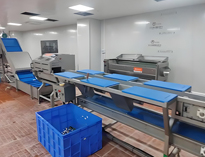 雲南酒店91免费看片APP設備廠家帶你了解淨菜加工設備和工藝
